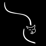 Fototapeta Londyn - Illustration montrant la souplesse du chat avec le symbole d’une ligne courbe sur un fond noir.