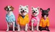 Husky dog puppy in a group, vibrant bright fashionable outfits isolated on solid background advertisement, copy text space. birthday party invitation banner Generative ai
