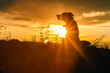Sylwetka psa rasy Border Collie o zachodzie słońca