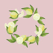 Corona de limones, gajos, mitades y hojas pintados a mano con acuarelas sobre fondo rosa pálido claro. Se puede usar para escribir un mensaje en su interior