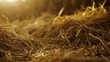 Hay straw bale closeup