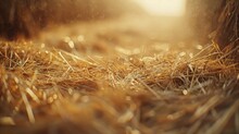 Straw Bales Background Agriculture