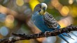  sharp image of a blue parakeet perched on a branch against a green tree