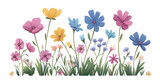 Fototapeta Sypialnia - Set of colorful flowers on a transparent background. Watercolor illustration. Clipart PNG