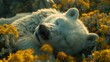  A polar bear resting in a flowery meadow, eyes shut