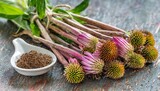 Fototapeta  - the roots of the medicinal herb known as echinacea or purple coneflower echinacea purpurea