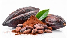 Roasted Cocoa Beans Powder And Pods Isolated On White Background