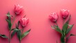 pink tulips bouquet of pink tulips bouquet of tulips