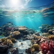 marine life, coral reefs, and clean waters to convey the need for preserving our oceans