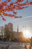 Fototapeta Most - Paris, Notre Dame cathedral with spring trees in France
