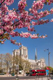 Fototapeta Miasta - Paris, Notre Dame cathedral with spring trees in France