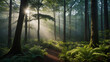 A sunlit path winds through a misty forest. The sun's rays shine through the trees, illuminating the path and the ferns that line it. The forest is green and lush, and the air is filled with mist.