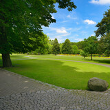 Fototapeta Kuchnia - Summer park with green meadow