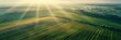 Bird's eye view of agricultural cultivated seeded fields, farmland in the rays of the rising sun, banner