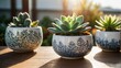 Warm sunlight bathes a trio of potted succulents, highlighting the natural beauty and tranquility of these low-maintenance plants