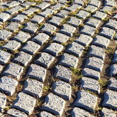 Poster - a close up of a cobblestone street with grass growing on the side of the street and grass growing on the side of the street.