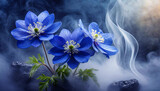 Fototapeta Kwiaty - Niebieskie kwiaty wiosenne zawilce
