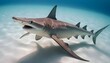 A Hammerhead Shark With Its Distinctive Hammer Sha Upscaled 8