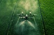 Drone spraying rice crops, eco-friendly pesticides, startup operation, aerial shot