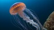 A Jellyfish In A Sea Of Shimmering Ocean Life Upscaled 9