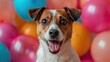surprised dog on solid bright background with colorful balloons --ar 16:9 --style raw --stylize 300 Job ID: 20326768-ca8d-498b-ad61-78b6c3f71005