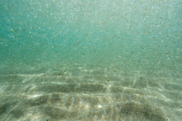 Wall Mural - Underwater floating particles of sand. High quality photo