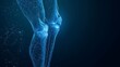 Human knee joint Polygonal 