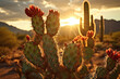 cactus desert on background
