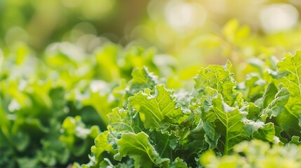 Aufkleber - green blurred bokeh of vegetable garden eco friendly background : Generative AI