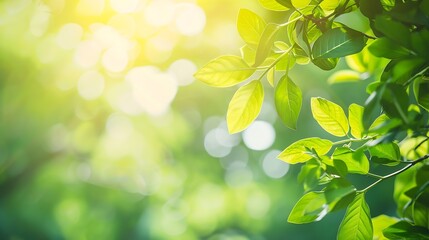 Aufkleber - Bokeh of vivid leaves of trees in sunlight Natural green background Blurred rich greenery with copy space Abstract texture of defocused lush foliage in sunny day Backdrop of scenic nat : Generative AI