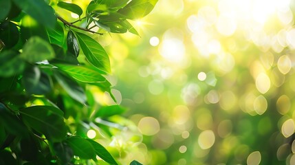 Aufkleber - Blurred green Bokeh natural tree in parks with bight sunlight : Generative AI