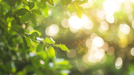 Aufkleber - Blurred nature abstract bokeh backgroundSummer holiday concept : Generative AI