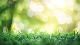 Fototapeta Natura - Lawn blur with soft light for background : Generative AI