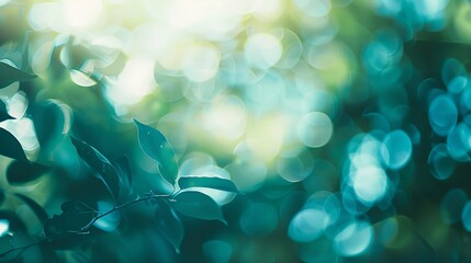 Blur dream turquoise shade clean morning nature with bokeh background concept modern csr theme eco spring baptism background fresh mint green bio farm Abstract blue cyan shade in summe : Generative AI