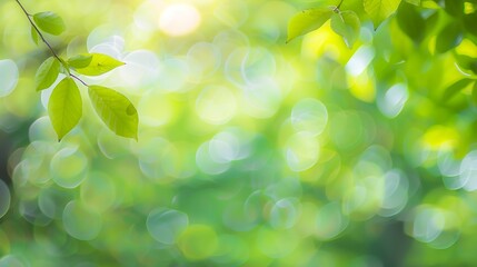 Aufkleber - Abstract blurred nature background with bokeh for creative designs Green leaves bokeh out of focus background from nature forest Green Nature spring and natural light in blur style wit : Generative AI