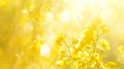 Poster - Summer holiday concept Abstract blur beauty yellow nature with bokeh sun light background : Generative AI