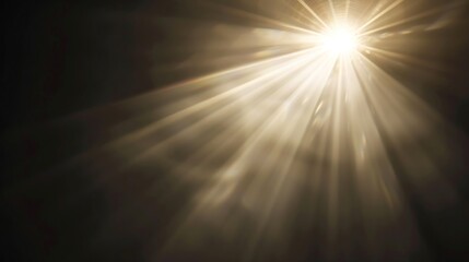 sun light overlay sun rays overlay sun rays light isolated on black background for overlay design tr