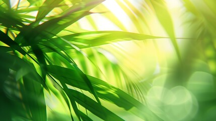 Leinwandbilder - Sunny abstract green nature background selective focus : Generative AI