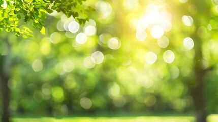 Leinwandbilder - Blurred natural background Spring summer defocused greenery background in park on nature : Generative AI