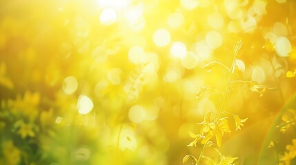 Poster - Summer holiday concept Abstract blur beauty yellow nature with bokeh sun light background : Generative AI