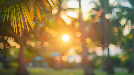 Aufkleber - Blur nature bokeh green park by beach and tropical coconut trees in sunset time : Generative AI