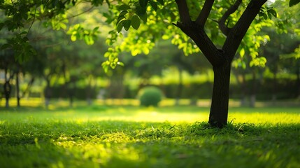 Aufkleber - Blurred of green natural tree in park background : Generative AI