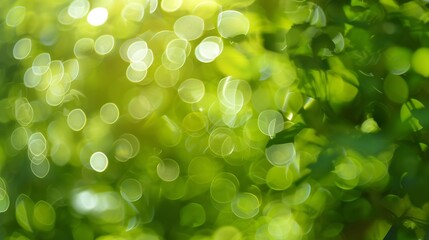 Aufkleber - Green bokeh light background blur : Generative AI