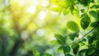 Beautiful nature view of green leaf on blurred greenery background in garden and sunlight with copy space using as background natural green plants landscape ecology fresh wallpaper con : Generative AI