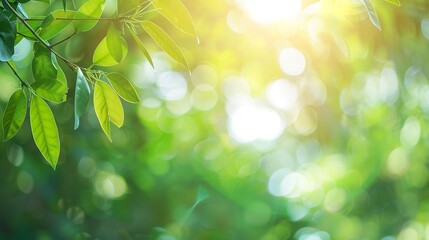Aufkleber - Abstract blur green foliage and tree in jungle with sun light spring summer Farming concept on plant forest and environment day of farmer organic building sunshine on leaf herb lush so : Generative AI