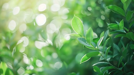 Leinwandbilder - green blurred background of green leaves in the day time : Generative AI