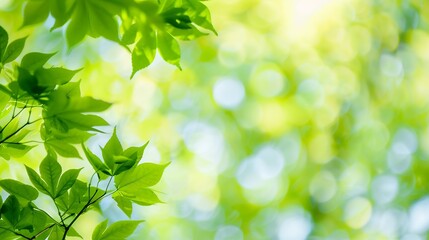 Aufkleber - Blurred greenery leaves of tree forest : Generative AI