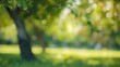 Blur green park garden outdoor background blurry tree nature with bokeh light background Blur nature park in spring and summer : Generative AI