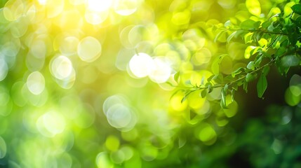 Wall Mural - Blur garden tree nature background with bokeh light Blurred spring green garden park in spring and summer Blur nature outdoor abstract background : Generative AI