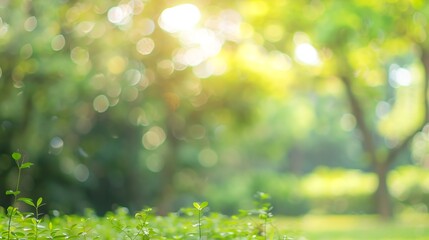 Wall Mural - Nature city park garden blur bokeh background Green nature for city life or save the earth concept : Generative AI